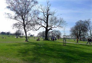 brockwell-park-brixton-2012-10