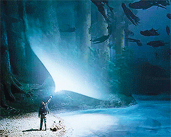 tumblr_mk4lenR6rj1r7lfr2o1_r1_250