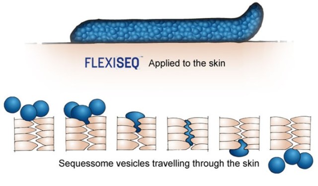 FLEXISEQ Sport