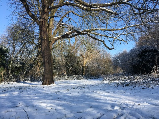 01BF3DBF-11FA-42CE-A64C-6CB494966FA7