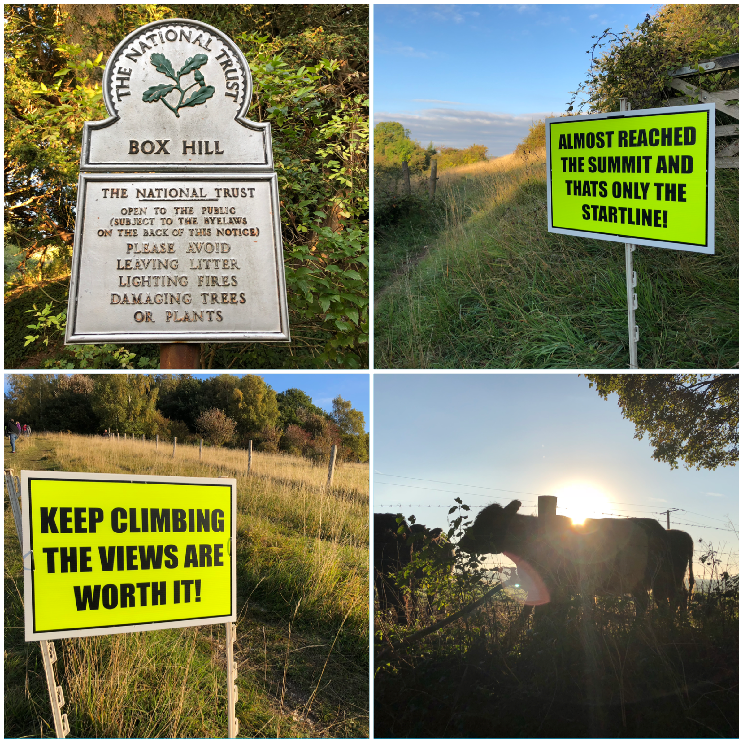 916AF9A8-35B3-4D3B-AEE5-B2ECA1391A8E